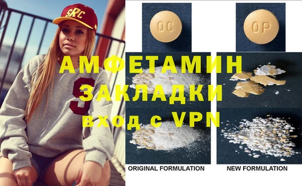 прущие грибы Алзамай