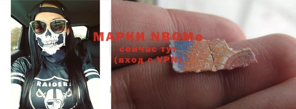 прущие грибы Алзамай