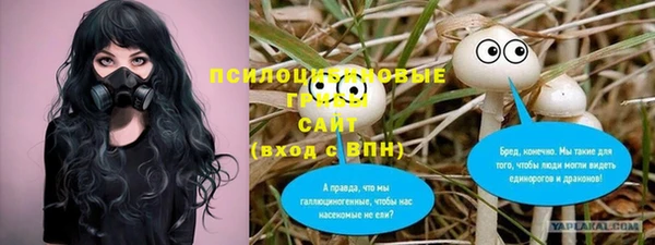 прущие грибы Алзамай