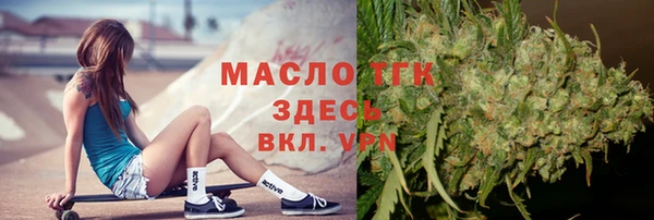 прущие грибы Алзамай