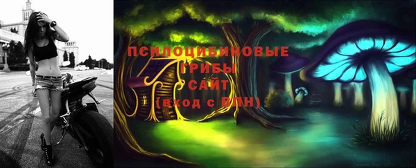 твердый Протвино
